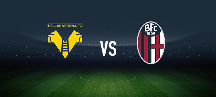 球场表现 球场表现