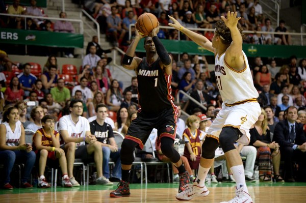 言语与小动 言语与小动