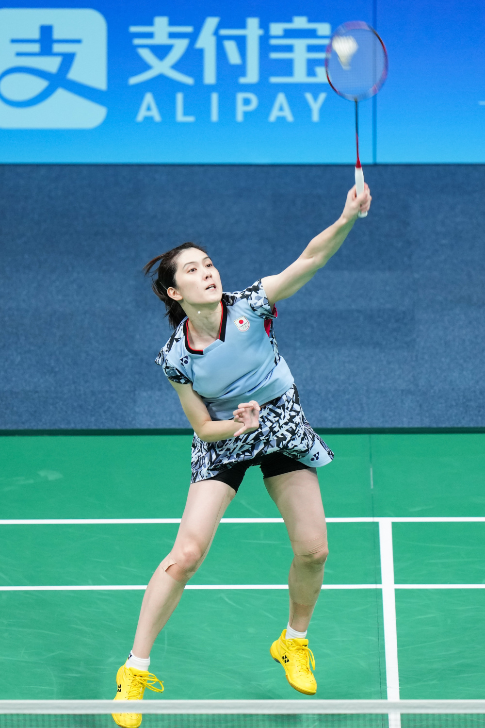 快船以来 快船以来