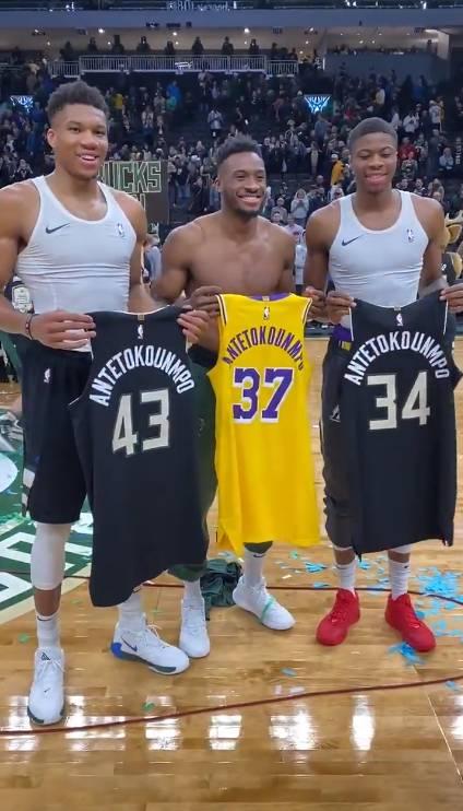 案例对照能 案例对照能